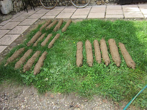 exp plancher quenouilles 2