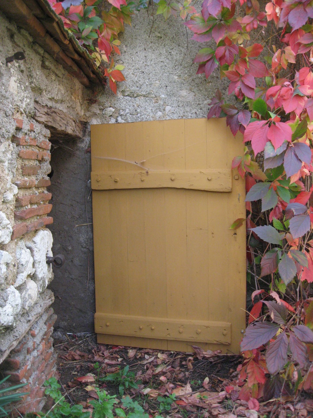 ocre jaune